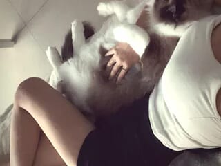 -siyubaby- live webcam thumbnail