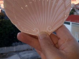 100Tauros live webcam thumbnail