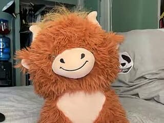234scoobydoo live webcam thumbnail