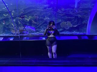 __CELESTE__ live webcam thumbnail