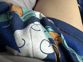 ABC11209 live webcam thumbnail