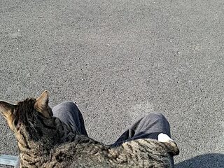 alancrunch live webcam thumbnail
