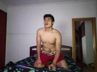alexander_cd1 live webcam thumbnail