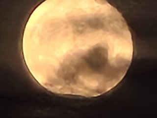 Ammu8783 live webcam thumbnail