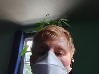 analpounded live webcam thumbnail