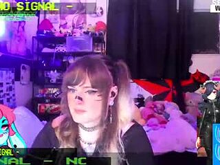 anchew live webcam thumbnail