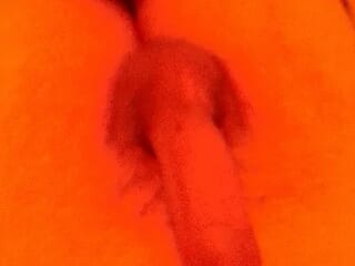 ARTIST1891 live webcam thumbnail