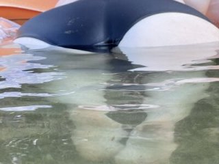 ardansoumise18 live webcam thumbnail