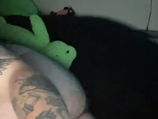 artstuffethan live webcam thumbnail