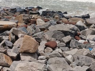 Ayush_pussy_fucker live webcam thumbnail