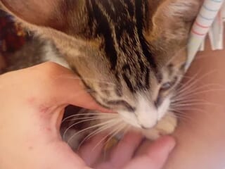 Barbicoool live webcam thumbnail
