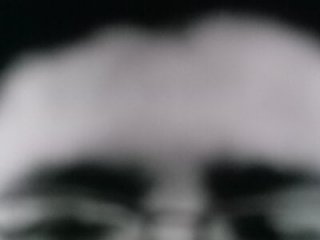 Bass12342a live webcam thumbnail