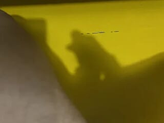 BatedFathom live webcam thumbnail