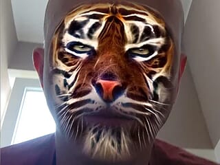 Bavariaschwanz live webcam thumbnail