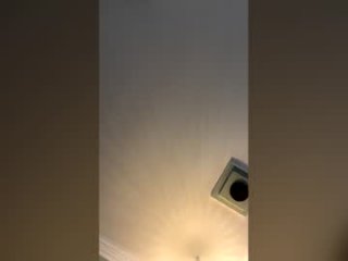 bdddave live webcam thumbnail