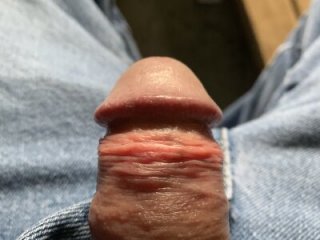 bertram59 live webcam thumbnail