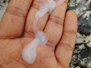 Bigkannan live webcam thumbnail