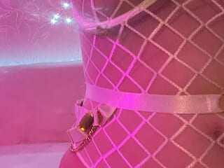 BioNika live webcam thumbnail