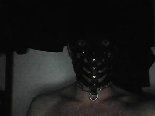 Blauwe_Vinkje live webcam thumbnail