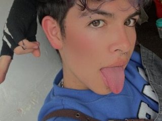 Blum_icee live webcam thumbnail