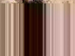 bodyahmed010 live webcam thumbnail