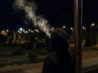 BroodyTenement live webcam thumbnail