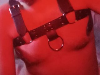 BushBator live webcam thumbnail