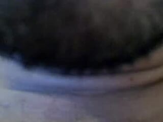 bull33_ live webcam thumbnail