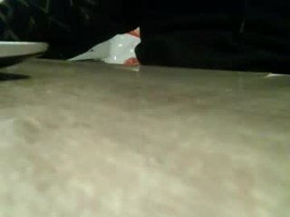 caldoski live webcam thumbnail