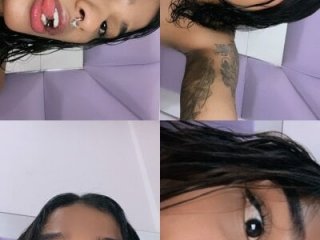 cam11_07 live webcam thumbnail