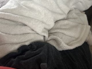 carapace31 live webcam thumbnail