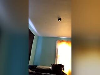 chansereed live webcam thumbnail