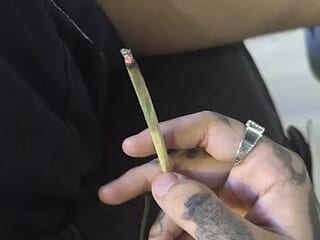 chicohomemtrans live webcam thumbnail
