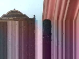 chilishaki live webcam thumbnail