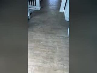 chillin_infl live webcam thumbnail