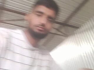 chinchi live webcam thumbnail