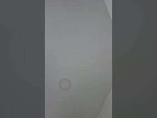 couplesex_2021 live webcam thumbnail