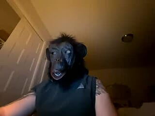 curiousstar live webcam thumbnail
