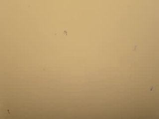 curly_dream69 live webcam thumbnail
