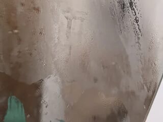D_rammus live webcam thumbnail