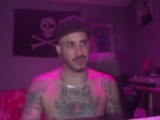dabirdfree live webcam thumbnail