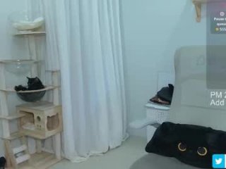 daisybean live webcam thumbnail