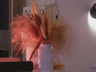 dakotasi live webcam thumbnail