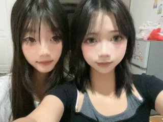DD-NN live webcam thumbnail