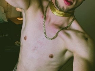 Deim_ live webcam thumbnail