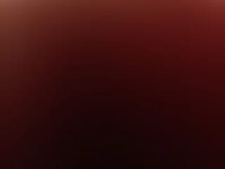 DenHaag31 live webcam thumbnail