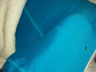 dickbastienweed live webcam thumbnail