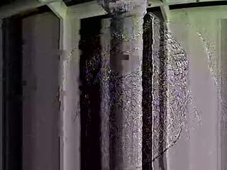 djceasar live webcam thumbnail
