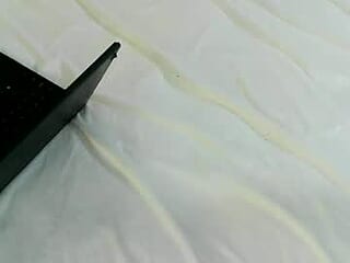 domlife4u live webcam thumbnail