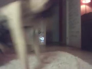 dora_indigo live webcam thumbnail